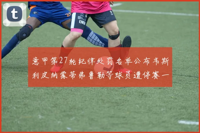 意甲第27轮纪律处罚名单公布韦斯利皮纳蒙蒂弗鲁勒等球员遭停赛一轮