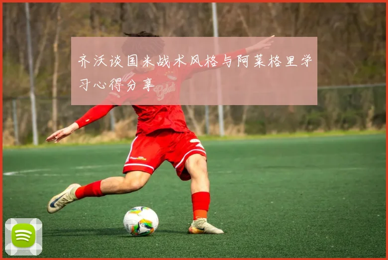 齐沃谈国米战术风格与阿莱格里学习心得分享