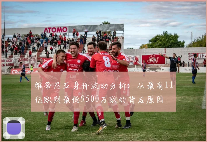维蒂尼亚身价波动分析：从最高11亿欧到最低9500万欧的背后原因