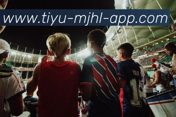 多媒体互动体验