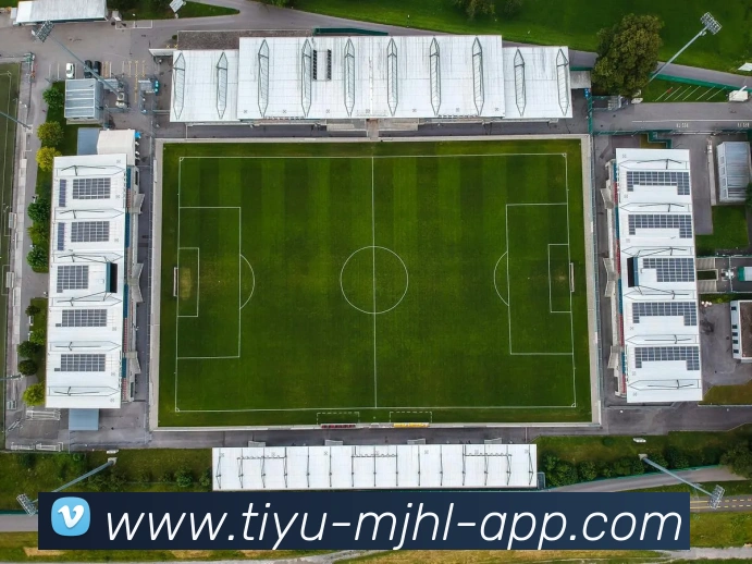 麻将胡了APP 高清赛事图