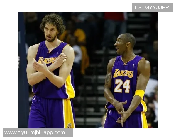 杨瀚森应聚焦武器与小加索尔而非遥不可及的约基奇